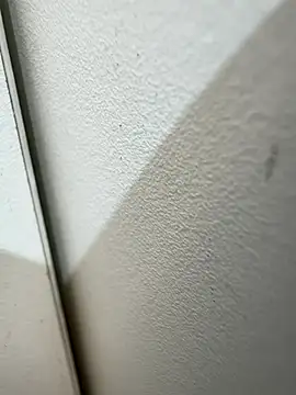 eveangelll Adlı Modelin Canlı XXX Sohbeti