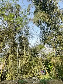 beobeo_2xx's Live XXX Chat