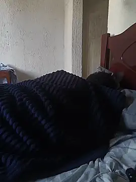 UrsoBissexualPauGrosso 网络视讯表演