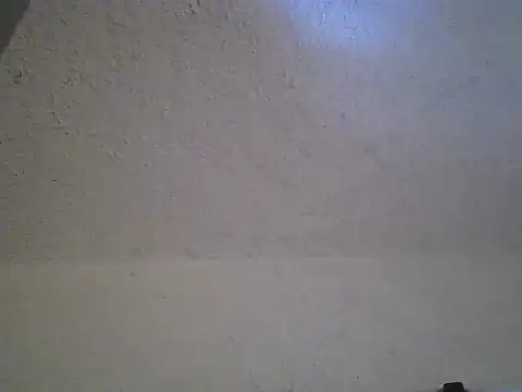 zandyplus 在線直播表演