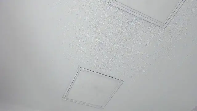 Tyler_durten Adlı Modelin Canlı XXX Sohbeti