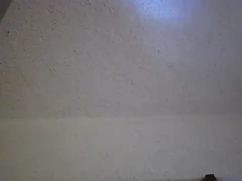 zandyplus – Kamerová šou