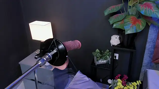 Czat XXX na żywo – Amy_whittee