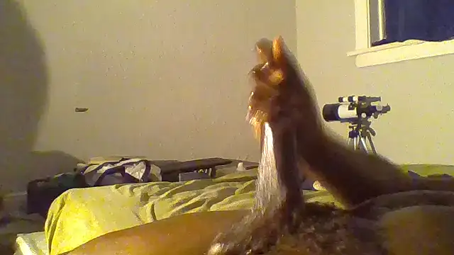 JezOne555 live XXX chat