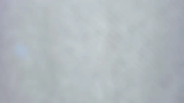 yuna_loon1のウェブカメラショー