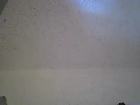 zandyplus' Live XXX Chat