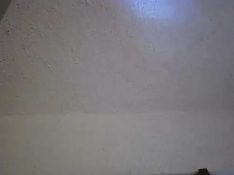 zandyplus Live XXX Chat