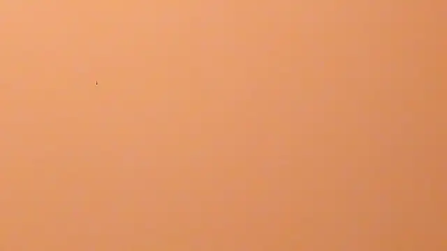 b3cky_ 现场XXX聊天