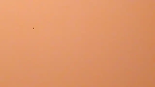 b3cky_ Chat XXX live