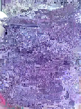 WildCatling: онлайн-секс-чат