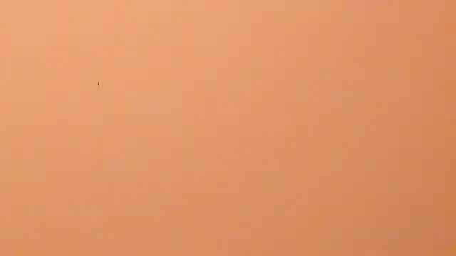 Chat XXX ao vivo de b3cky_