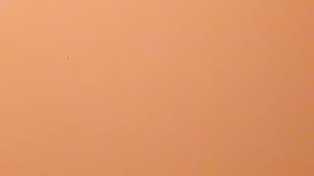 Chat XXX en directo de b3cky_