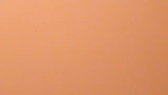 Chat +18 de b3cky_ ao vivo