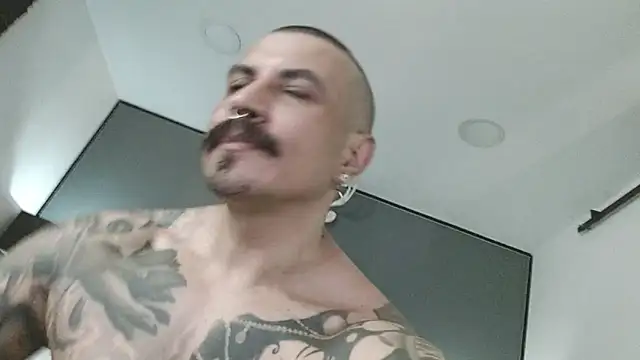 Show webcam de danilog515