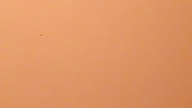 b3cky_ 现场XXX聊天