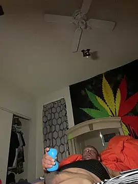 Show webcam de NiftyCaptain3