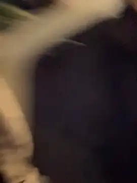 Show de webcam de lindaandtony