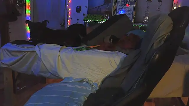 Buffshagswell Chat XXX live