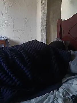 UrsoBissexualPauGrosso Show Webcam