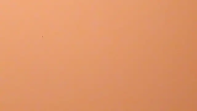 b3cky_ Adlı Modelin Canlı XXX Sohbeti