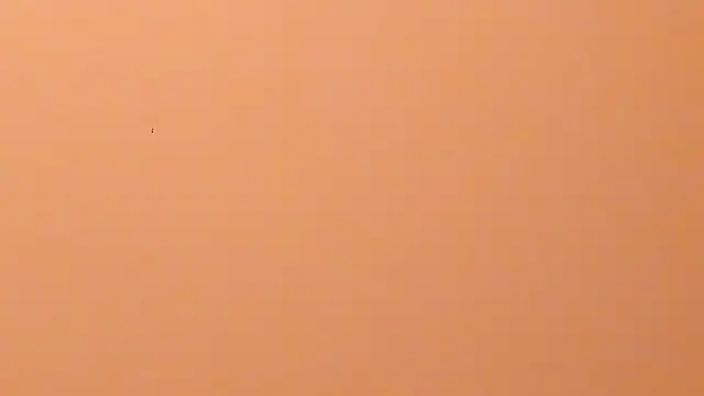 b3cky_'s Live XXX Chat