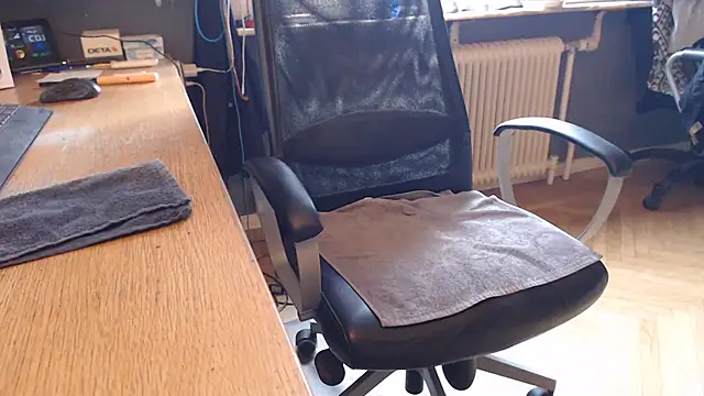 endastjagのウェブカメラショー