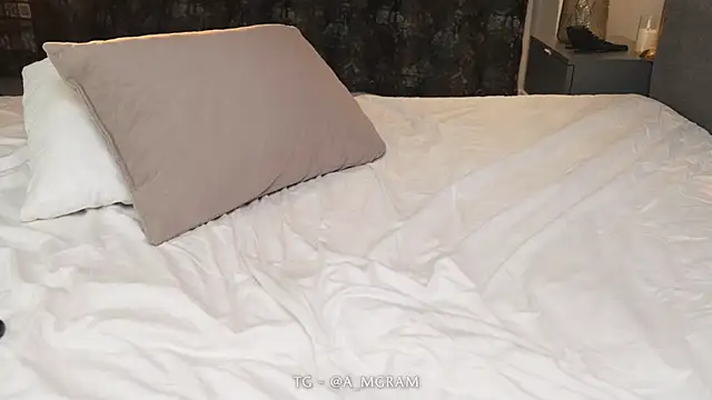 disco_elysium's Webcam Show