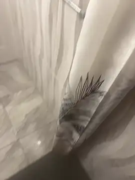 Miguel_667: διαδικτυακό σόου στην κάμερα