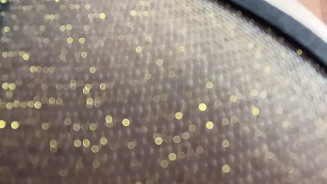 riierra Adlı Modelin Canlı XXX Sohbeti