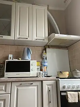 Frosl 网络视讯表演