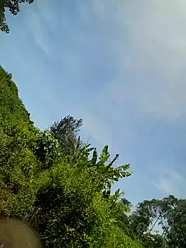 GalvharinoMapuche: онлайн-секс-чат