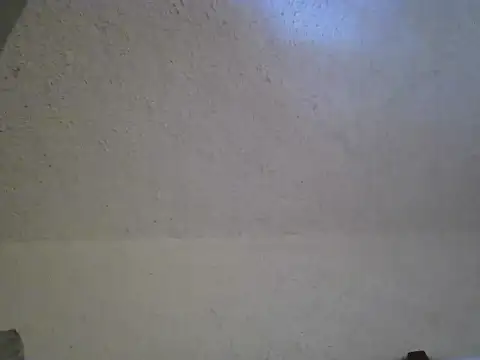 zandyplus 网络视讯表演