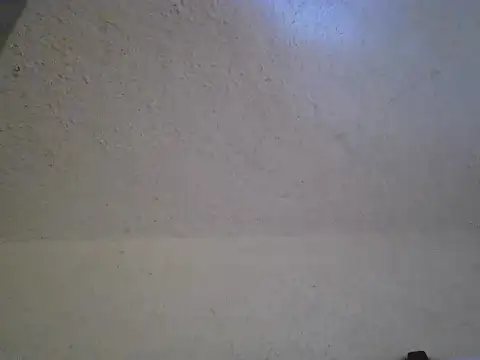 zandyplus Live XXX Chat