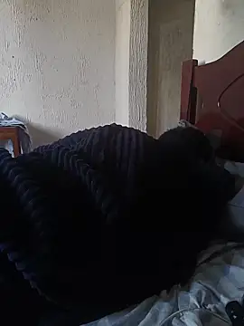 Chat +18 de UrsoBissexualPauGrosso ao vivo