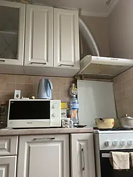 Froslのウェブカメラショー