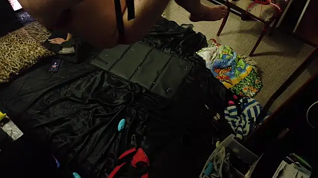 Show Webcam de AQuickPhyx