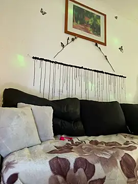 Show modela Mohdollmen na web-kameri