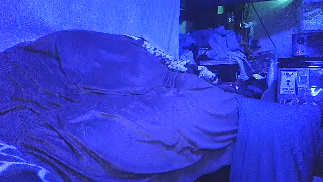 Show Webcam de 0SEANX