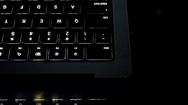 bestofdoseswirls 라이브 XXX 채팅