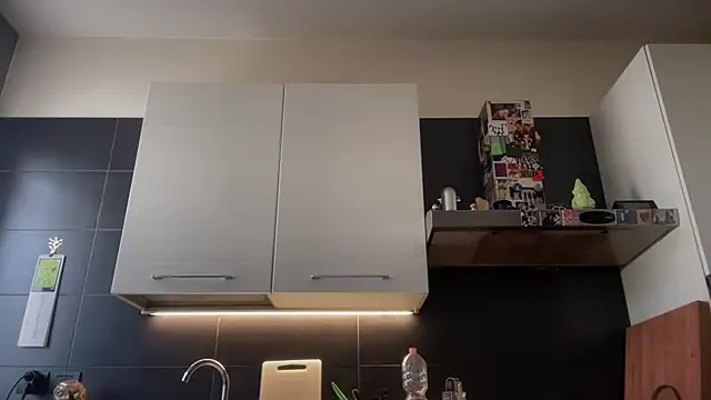 theitalianbear webkamerás műsora