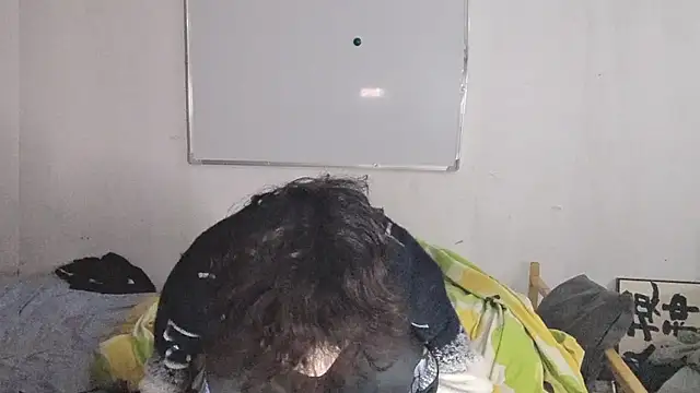 Show Webcam de xiatianjun