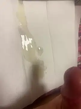 عرض كام Majestik1