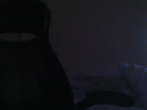 desubikao62のウェブカメラショー