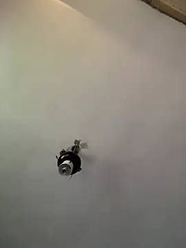 Pertunjukan Kamera Web Brando2585