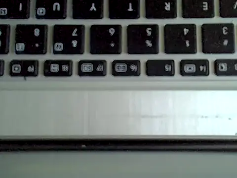 Delicious-D ওয়েবক্যাম শো