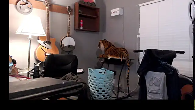 Show Webcam de itsjameswebbscope