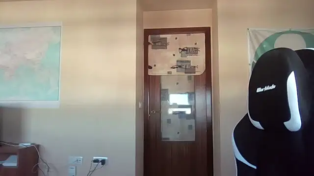 llopaco's Webcam Show