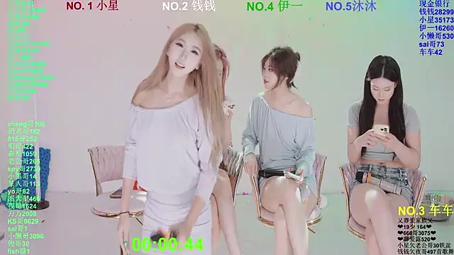 ZZ00033S Webcam Show