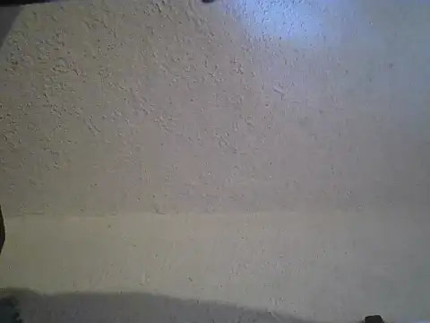 Živý XXX chat zandyplus