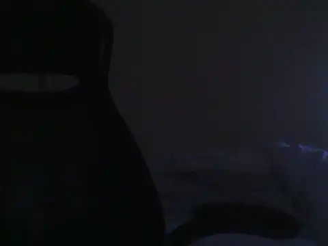 Show de desubikao62 na webcam